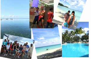 新云員工境外游